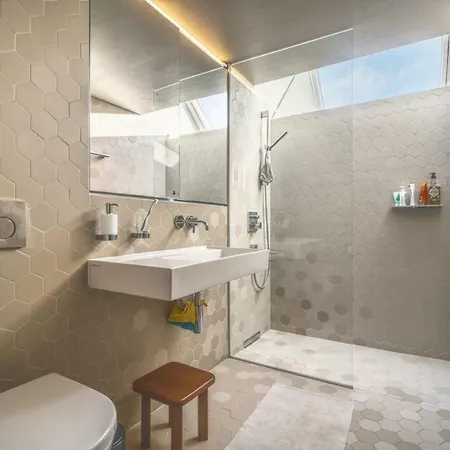 Renovated Historic Barn In Mountain Village *