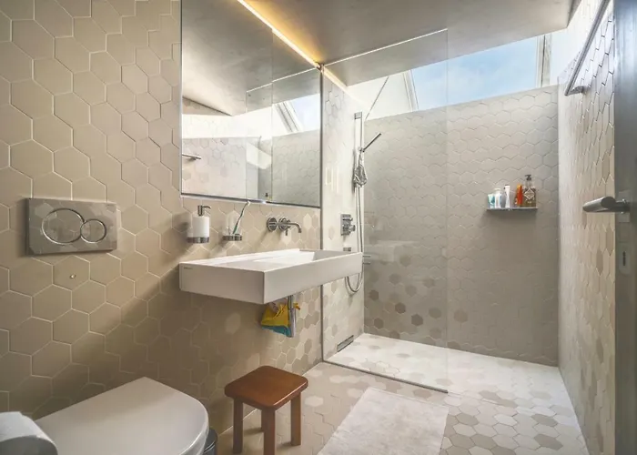 Renovated Historic Barn In Mountain Village *